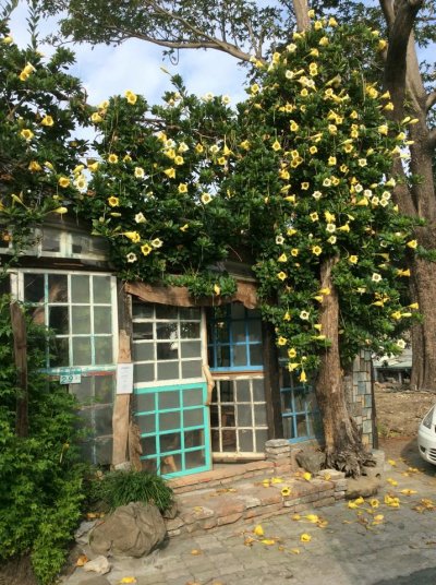 (圖/千畦種籽舘@facebook) (圖/千畦種籽舘@facebook)