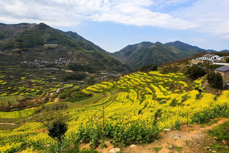 浙江上虞（取自網路）