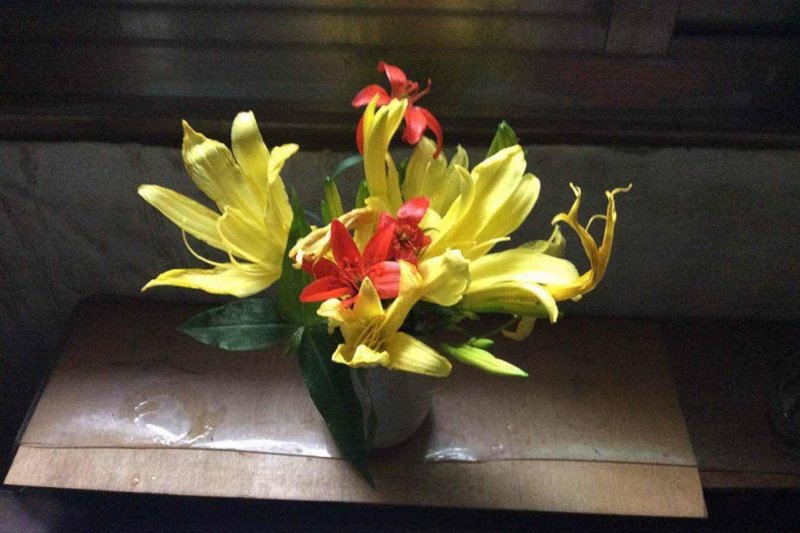 囚徒金黃的無憂花和鮮紅的野百合。(寇延丁提供) 囚徒金黃的無憂花和鮮紅的野百合。(寇延丁提供)
