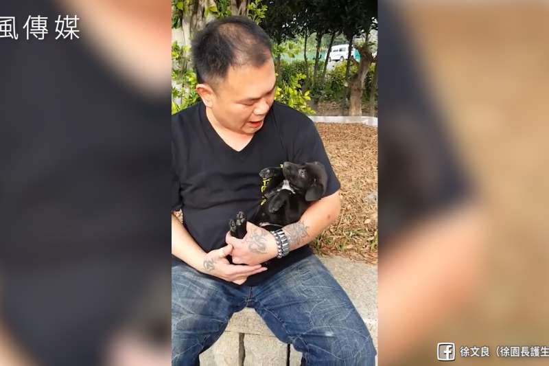 熬夜受傷也要救到你!徹夜搶救流浪幼犬 狗兒眼裡滿是感激...