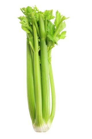 芹菜 芹菜