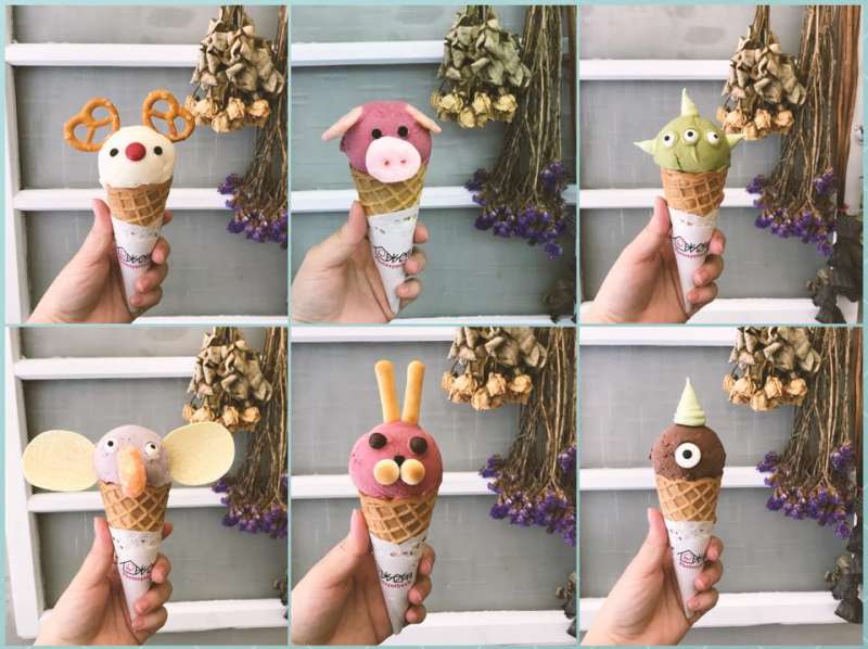 (圖/光合作用 Photosynthesis@facebook) (圖/光合作用 Photosynthesis@facebook)