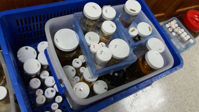 北極與南極的生物標本。(圖/作者提供|想想論壇) 北極與南極的生物標本。(圖/作者提供|想想論壇)