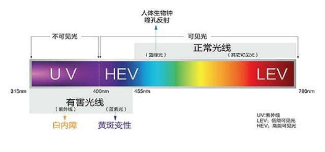 (圖/網路) (圖/網路)