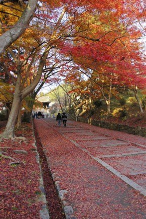 在這裡，旅人們可以不同角度享受不一樣的美感，而這也正是「紅葉狩」的樂趣。（圖片來源：Flickr CC授權作者Eddy Chang）