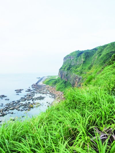 忘憂 忘憂