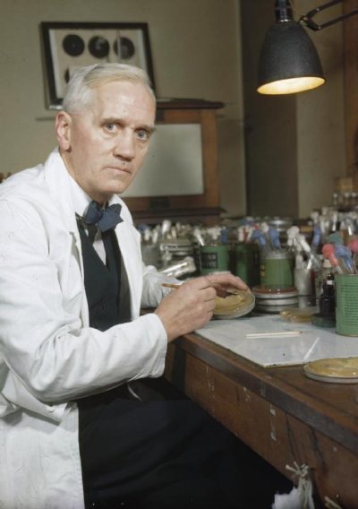 佛萊明的發現,寫下醫學歷史上最輝煌的一頁。(圖/Alexander Fleming@Wikipedia) 佛萊明的發現,寫下醫學歷史上最輝煌的一頁。(圖/Alexander Fleming@Wikipedia)