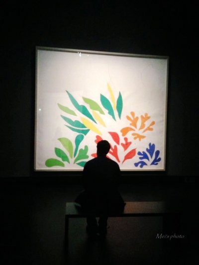 jardin10.jpg jardin10.jpg