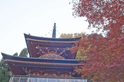(圖/Kyoto-Picture@Flickr) (圖/Kyoto-Picture@Flickr)