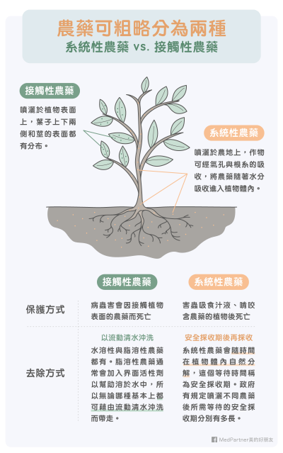 農藥其實可以分:系統性農藥,以及接觸性農藥。(圖/MedPartner) 農藥其實可以分:系統性農藥,以及接觸性農藥。(圖/MedPartner)