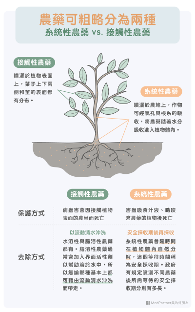 農藥其實可以分：系統性農藥，以及接觸性農藥。（圖／MedPartner）