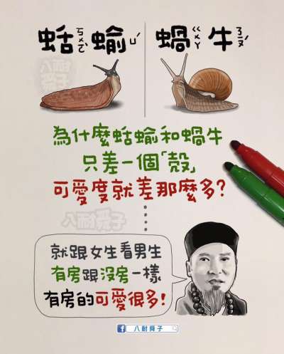 (圖/八耐舜子FB) (圖/八耐舜子FB)