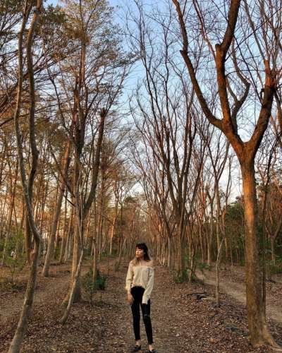 (圖/tammywangx1994@IG,ReadyGo 提供) (圖/tammywangx1994@IG,ReadyGo 提供)