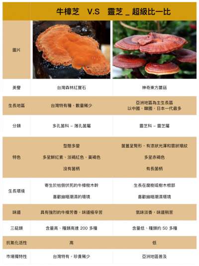 牛樟芝vs靈芝(圖表/Health Blog) 牛樟芝vs靈芝(圖表/Health Blog)