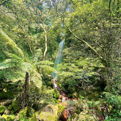 台北登山步道-絹絲瀑布步道。(圖/elven.chen,Instagram) 台北登山步道-絹絲瀑布步道。(圖/elven.chen,Instagram)