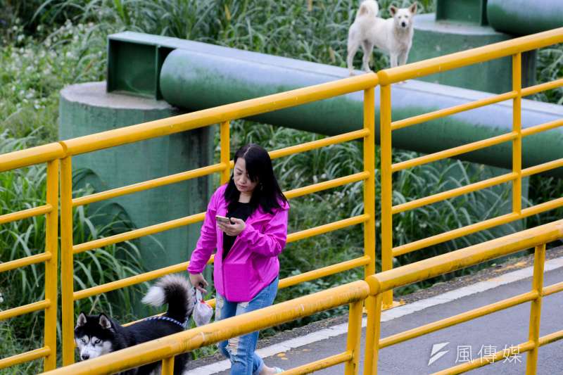 28.景美溪畔步道上.流犬看著民眾牽著毛小孩經過.欄杆裡外命運大不同..(陳明仁攝) 28.景美溪畔步道上.流犬看著民眾牽著毛小孩經過.欄杆裡外命運大不同..(陳明仁攝)