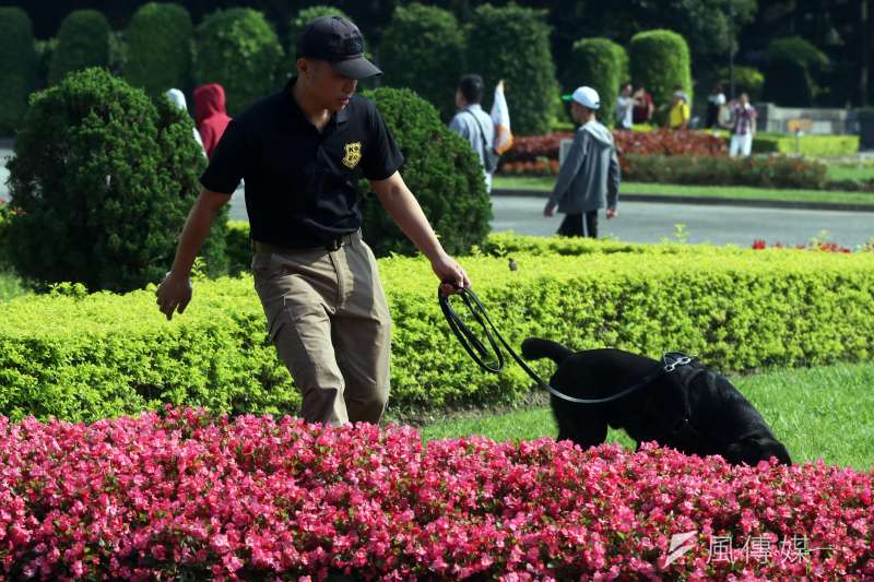 偵爆犬 20190505_軍禮有自家總統和友邦元首出席，除軍警人員維安，偵爆軍犬也都要出動場檢。（資料照，蘇仲泓攝）