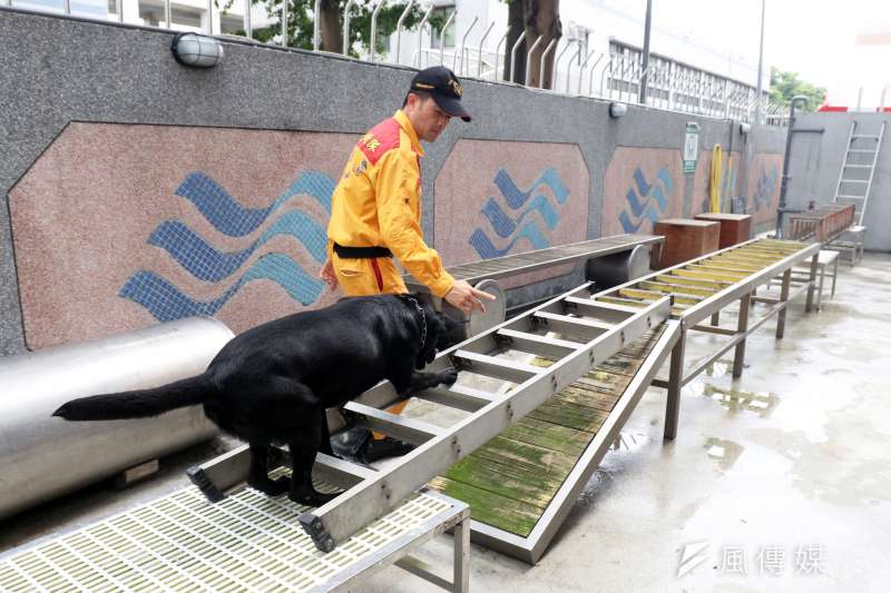 20190621-台北市消防局搜救隊暨搜救犬訓練中心17日啟用,領犬員引領搜救犬在基地內設施實施訓練,提升搜救能量。(蘇仲泓攝) 20190621-台北市消防局搜救隊暨搜救犬訓練中心17日啟用,領犬員引領搜救犬在基地內設施實施訓練,提升搜救能量。(蘇仲泓攝)