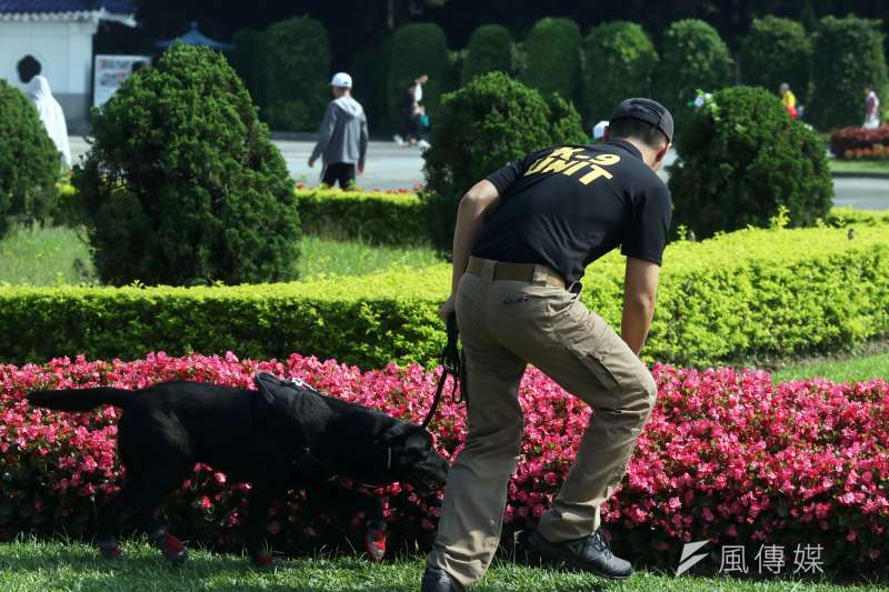 20190621-國防部憲兵指揮部警衛大隊軍犬分隊執行蒞臨場所場檢工作,憲兵軍犬穿梭會場,不放過任何疑似爆裂物的可能,維護元首安全。圖為憲兵軍犬在自由廣場執勤。(蘇仲泓攝) 20190621-國防部憲兵指揮部警衛大隊軍犬分隊執行蒞臨場所場檢工作,憲兵軍犬穿梭會場,不放過任何疑似爆裂物的可能,維護元首安全。圖為憲兵軍犬在自由廣場執勤。(蘇仲泓攝)