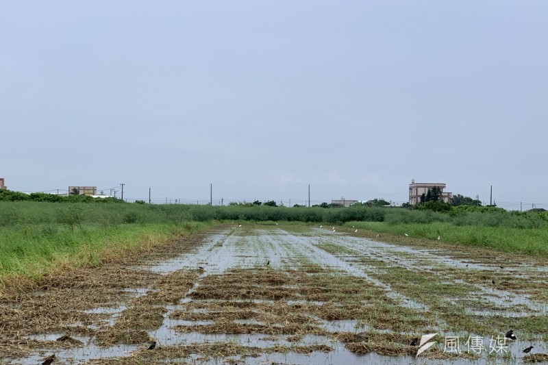 20191016-風數據/綠能專題。雲林光電預定地。(尹俞歡攝) 20191016-風數據/綠能專題。雲林光電預定地。(尹俞歡攝)