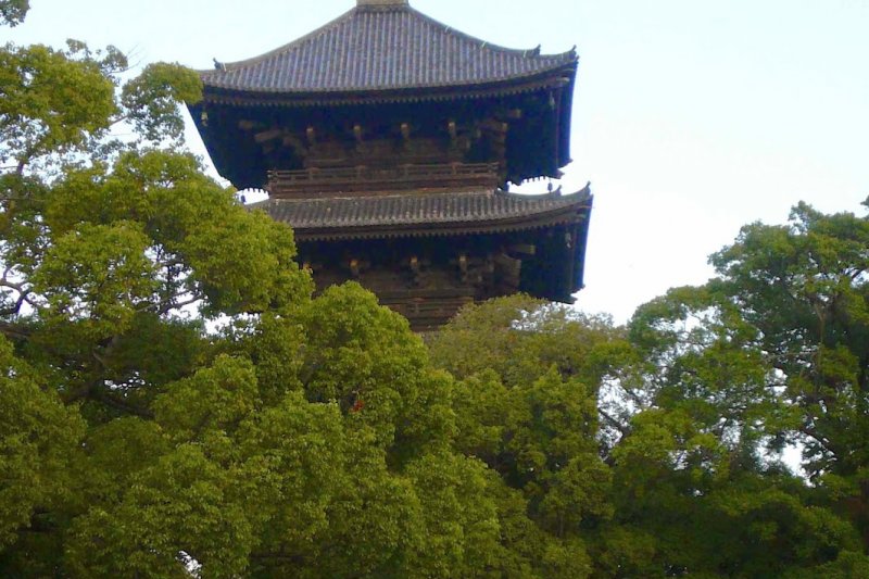 弘法市集 弘法市集