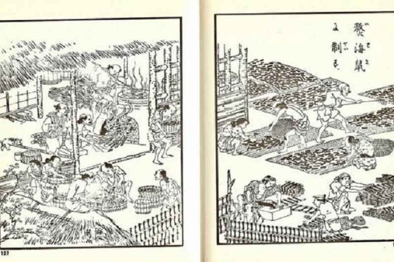 (資料圖:製造海參/騰訊大家網) (資料圖:製造海參/騰訊大家網)
