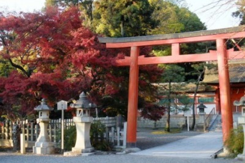 神社鳥居,表示神社境內的入口。(圖/MATCHA) 神社鳥居,表示神社境內的入口。(圖/MATCHA)
