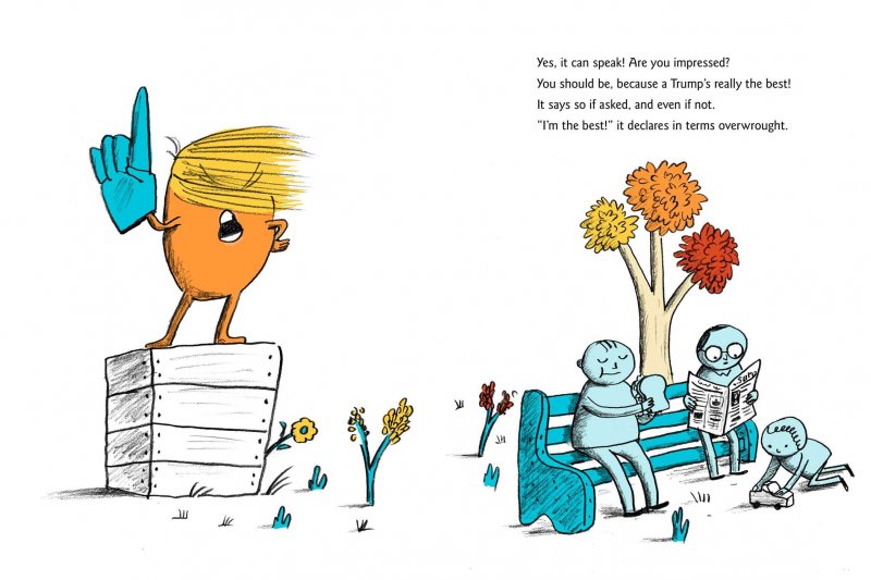 《第一本關於川普的童書》(A Child's First Book of Trump)(翻攝Amazon) 《第一本關於川普的童書》(A Child's First Book of Trump)(翻攝Amazon)