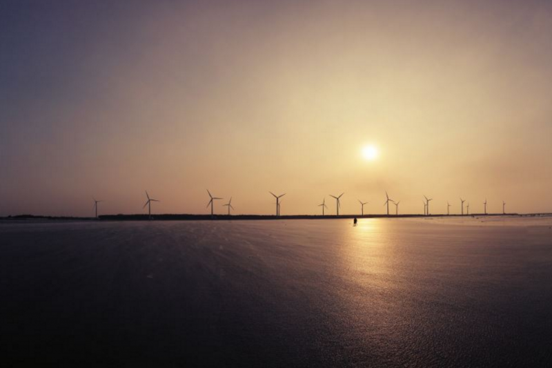 清水高美濕地（台中市政府）