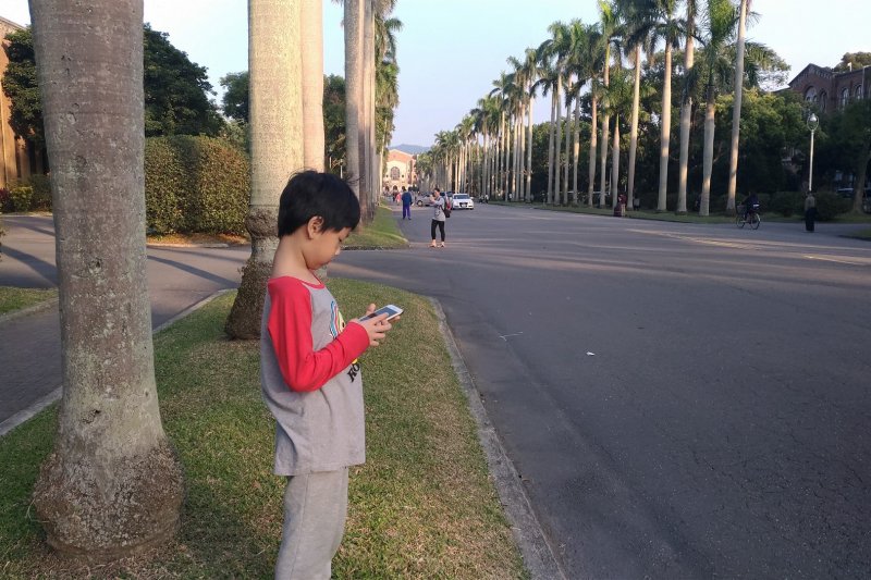 台大椰林大道(呂紹煒攝) 台大椰林大道(呂紹煒攝)