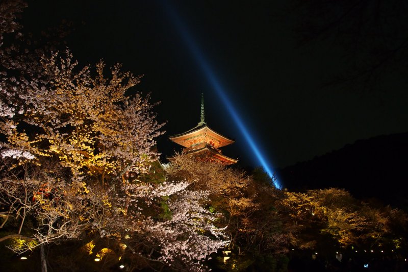 (圖/othree@Flickr) (圖/othree@Flickr)