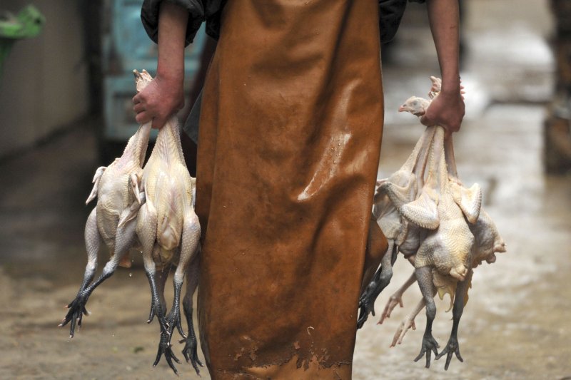 中國近來出現H7N9禽流感禽傳人疫情(AP) 中國近來出現H7N9禽流感禽傳人疫情(AP)