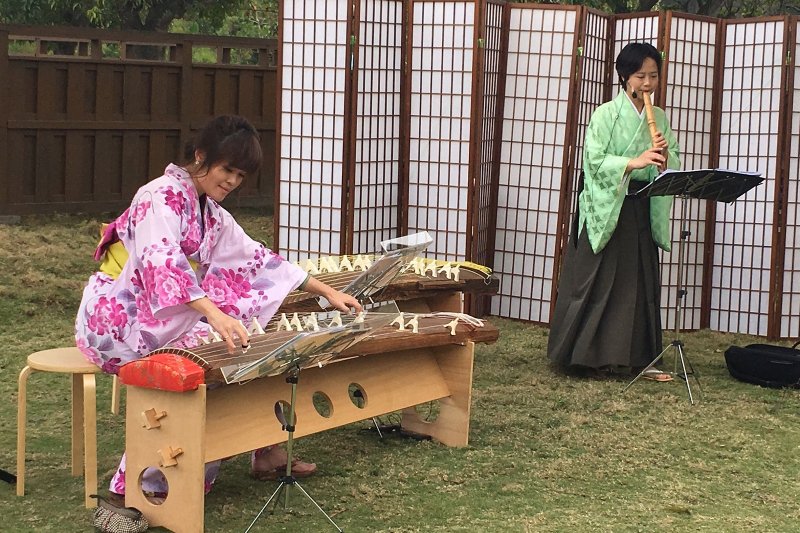 çƒå±±é ­æ°´åº«å—æ´‹æ«»èŠ±ç››é–‹ç©¿è'—å'Œæœdiyé«