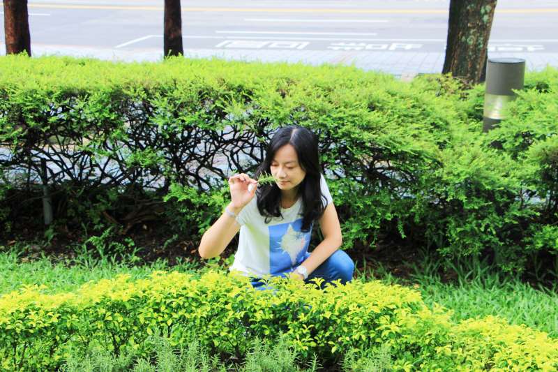 迷迭香的香味能讓人提振情緒，對抗憂鬱，平衡緊繃的情緒，讓人打開心胸（北市府）