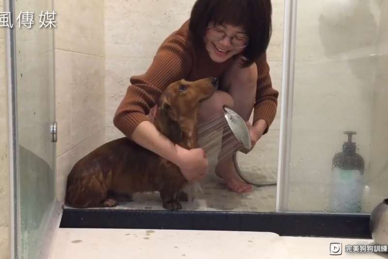 一聽到洗澡,毛小孩就恐懼?幫汪星人洗澡,記得跟著訓練師這樣做!