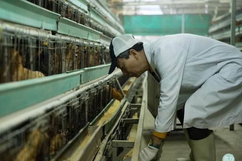 金鎖固精丸 早洩 | 早洩 怎麼 治療 有效果