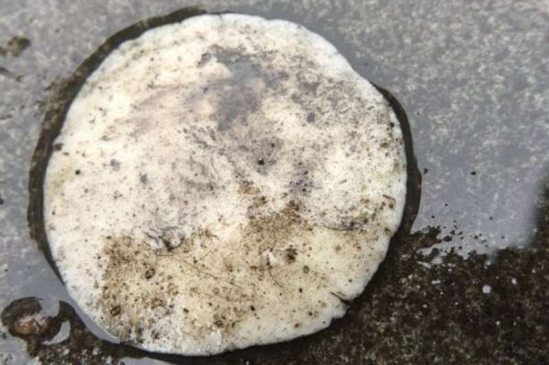 英國各地方政府需要用特殊的設備來清理地面的口香糖殘跡。(BBC中文網) 英國各地方政府需要用特殊的設備來清理地面的口香糖殘跡。(BBC中文網)