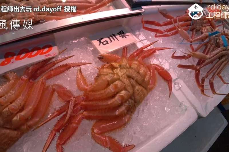 傳統市場大啖肥美螃蟹!日本特色海產現撈直送,這個市場讓本地人也瘋狂!