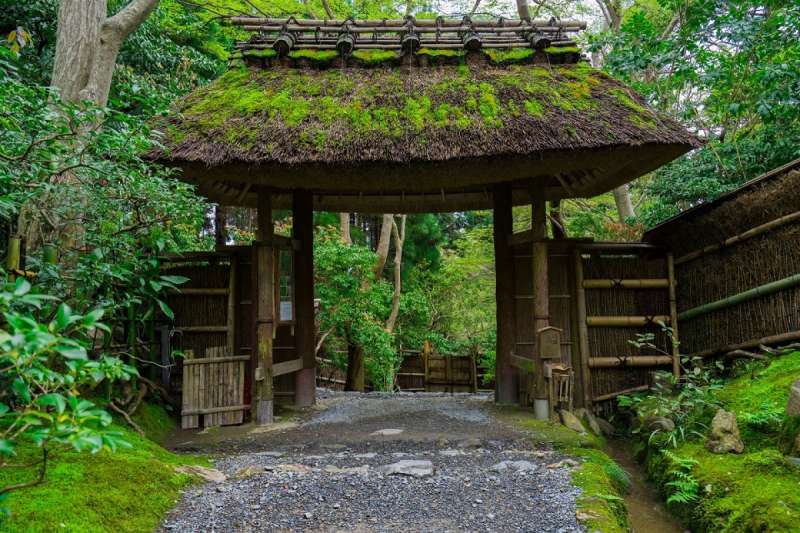樸實的草庵被竹林和楓樹圍繞。(圖/ZEKKEI Japan) 樸實的草庵被竹林和楓樹圍繞。(圖/ZEKKEI Japan)