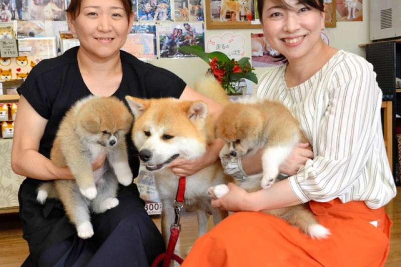 抱著小溫與幼犬的小林薰(左)與姊姊佐佐木桂(圖/潮日本提供) 抱著小溫與幼犬的小林薰(左)與姊姊佐佐木桂(圖/潮日本提供)