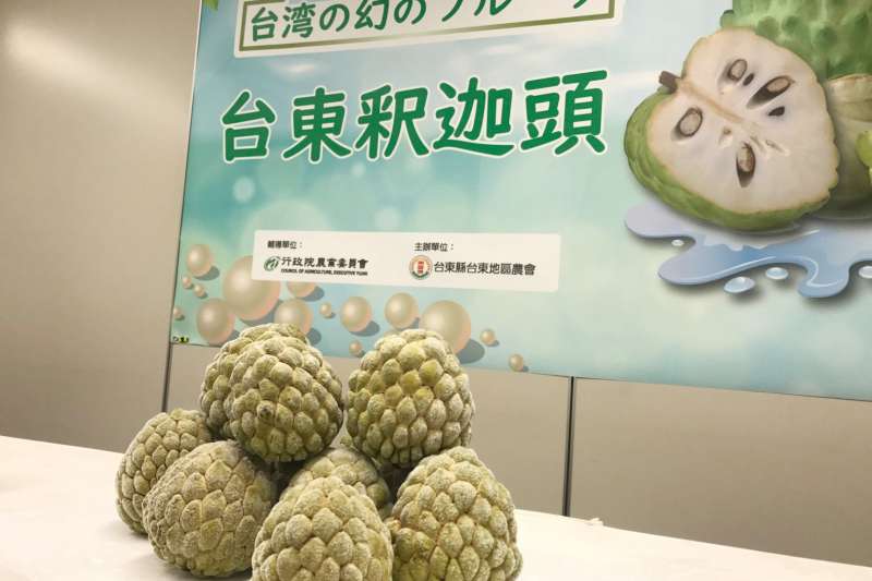克服儲運、檢疫等關卡,台東釋迦終能順利入境日本,提升農民收益。(圖/劉櫂豪競選辦公室) 克服儲運、檢疫等關卡,台東釋迦終能順利入境日本,提升農民收益。(圖/劉櫂豪競選辦公室)