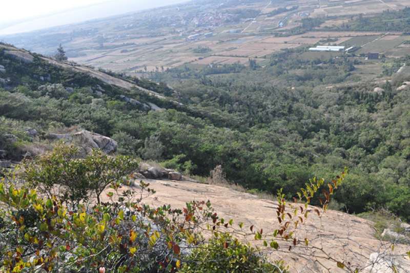 蔡厝古道眺望山下一覽金門美景(圖/金門縣政府觀光處) 蔡厝古道眺望山下一覽金門美景(圖/金門縣政府觀光處)