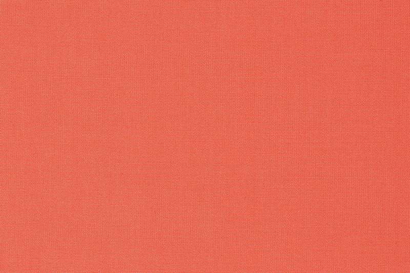 國際色彩權威機構「彩通」(PANTONE)公布2019年代表色:活珊瑚橘(Living Coral)。(AP) 國際色彩權威機構「彩通」(PANTONE)公布2019年代表色:活珊瑚橘(Living Coral)。(AP)