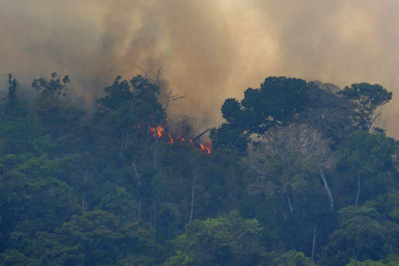 亞馬遜雨林今年爆發逾7萬場森林大火肆虐，突破6年來紀錄。（AP）