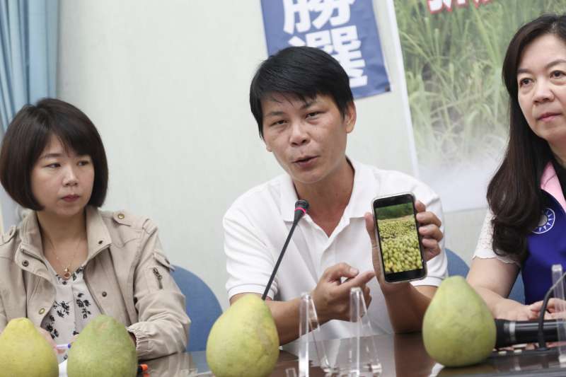 政府力挺台灣鳳梨?林佳新酸:連台糖鳳梨罐頭產地都在泰國-風傳媒