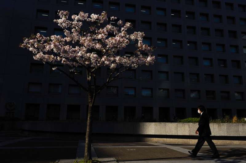 日本，東京。（美聯社）