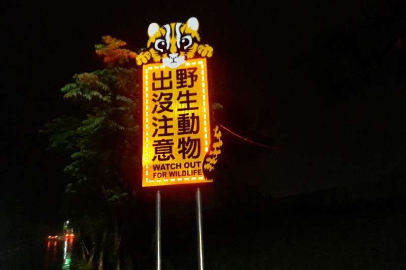 設置夜間發光的大型LED警示牌更能有效提前預警駕駛留意路殺熱點路段。(圖/苗栗縣政府媒體事務中心提供) 設置夜間發光的大型LED警示牌更能有效提前預警駕駛留意路殺熱點路段。(圖/苗栗縣政府媒體事務中心提供)