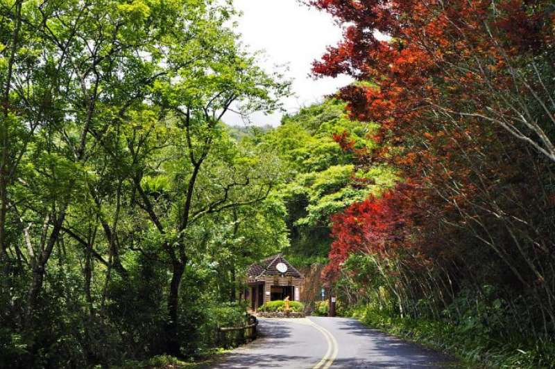 宜蘭太平山周邊景點-棲蘭神木園。（圖／Tripbaa趣吧！亞洲自由行專家）