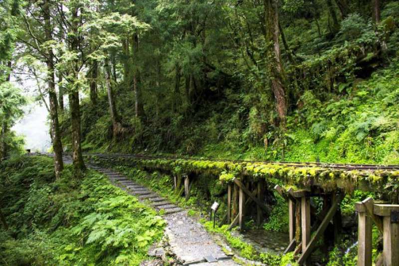 宜蘭太平山景點-見晴古道。（圖／Tripbaa趣吧！亞洲自由行專家）