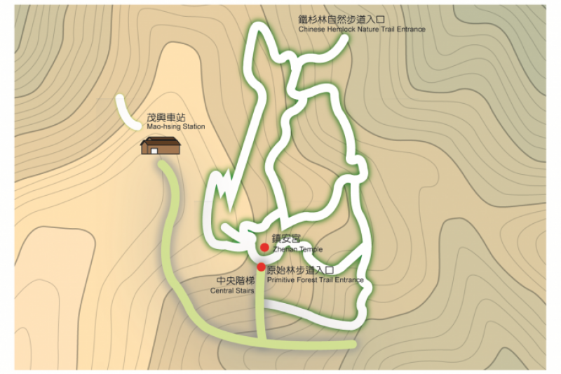 宜蘭太平山景點-檜木原始林步道。(圖/太平山國家森林區官網) 宜蘭太平山景點-檜木原始林步道。(圖/太平山國家森林區官網)